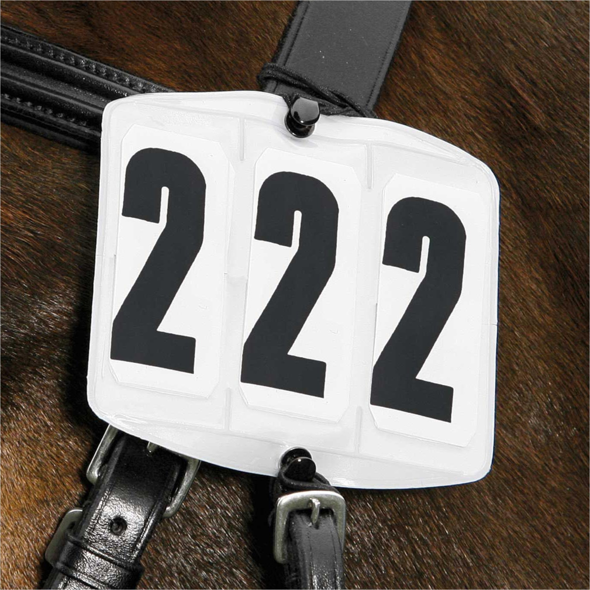 2026 Waldhausen Kopfzahlen Quadrate 175800 - White